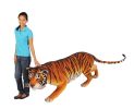 Bengal Tiger Life Like 90 Inch Long