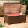 Contemporary Lift Top Coffee Table Storage Trunk in Espresso Finish