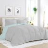 Twin/Twin XL 2-Piece Microfiber Reversible Comforter Set Aqua Blue and Grey