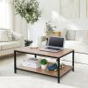 Modern 2-Tier Metal Wooden Coffee Table in Natural Wood Finish