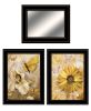 "Butterflies" 3-Piece Vignette By Ed Wargo, Ready to Hang Framed Print, Black Frame