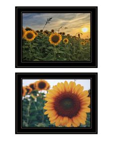 "Midwest Living Collection" 2-Piece Vignette By Donnie Quillen, Ready to Hang Framed Print, Black Frame