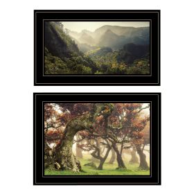 "The Land of Hobbits" 2-Piece Vignette by Martin Podt, Black Frame